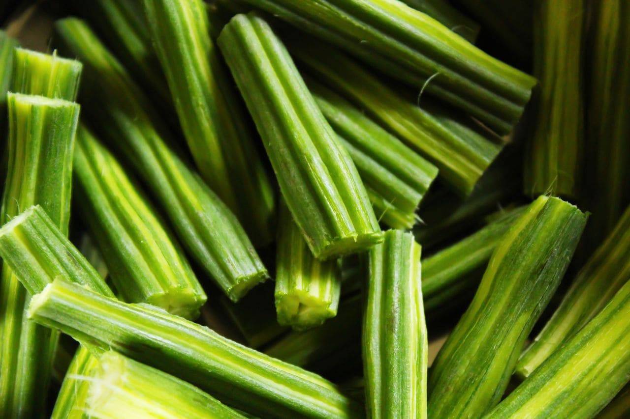 Moringa