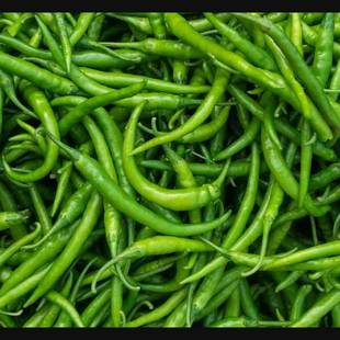 Long Green Chillies