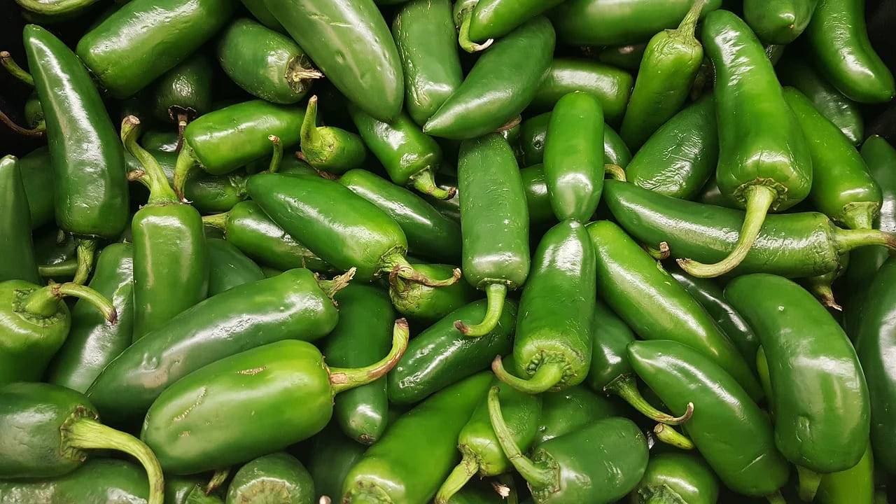 Green Jalapenos