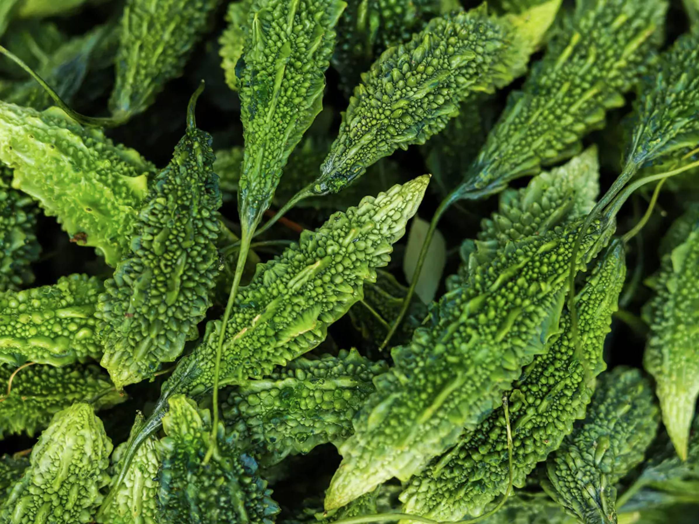 Karela