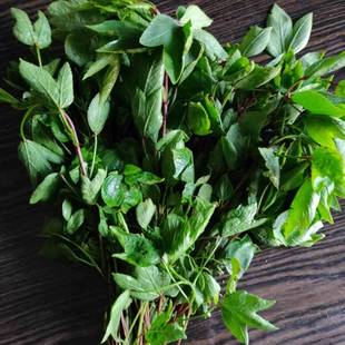 Gongura